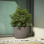 Vaso Etria Uno 34 cm tortora Plust